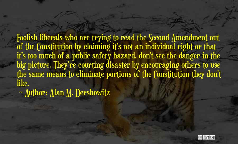 Second Amendment Quotes By Alan M. Dershowitz