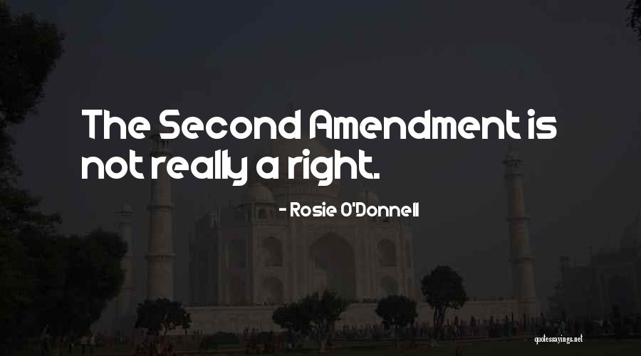 Second Amendments Quotes By Rosie O'Donnell