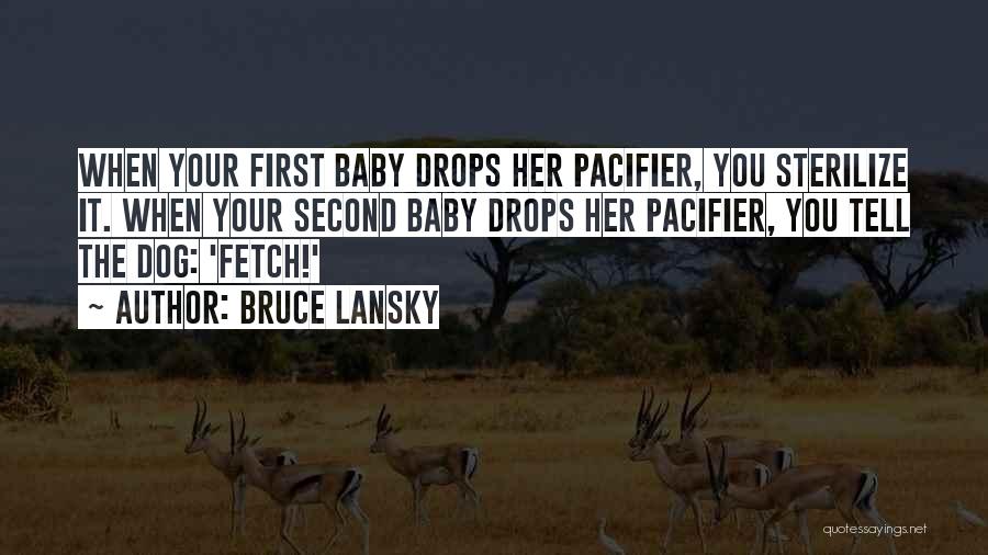 Second Baby Quotes By Bruce Lansky