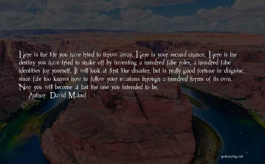 Second Chance To Life Quotes By David Malouf