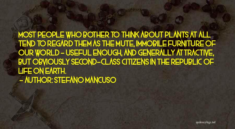 Second Class Citizens Quotes By Stefano Mancuso