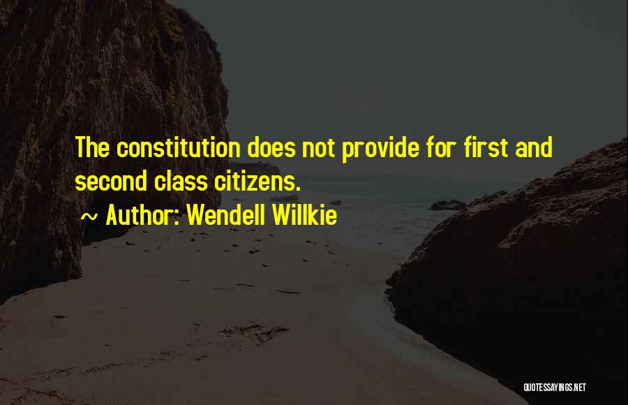 Second Class Citizens Quotes By Wendell Willkie