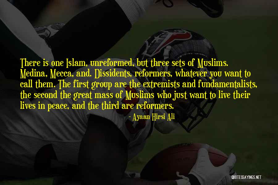 Second Lives Quotes By Ayaan Hirsi Ali Second Lives Quotes By Ayaan Hirsi Ali