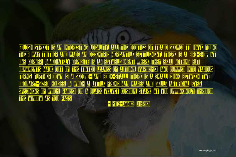 Second Lives Quotes By Fitz-James O'Brien Second Lives Quotes By Fitz-James O'Brien