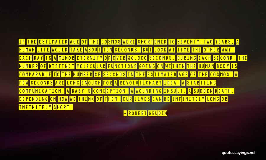 Second Lives Quotes By Robert Grudin Second Lives Quotes By Robert Grudin