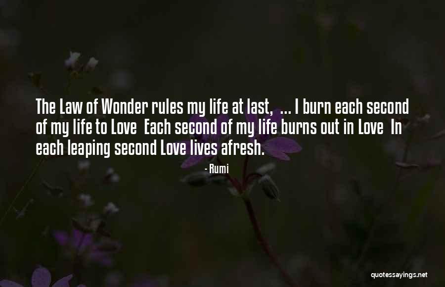 Second Lives Quotes By Rumi Second Lives Quotes By Rumi