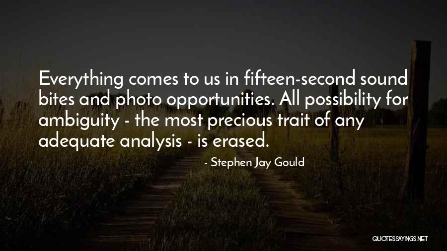 Second Opportunities Quotes By Stephen Jay Gould