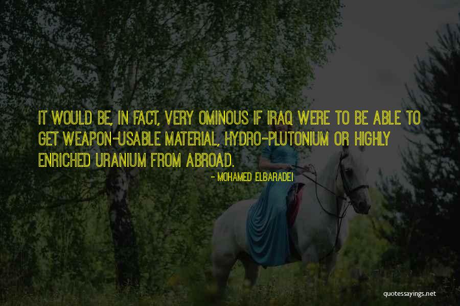 Second To None Shopper Quotes By Mohamed ElBaradei