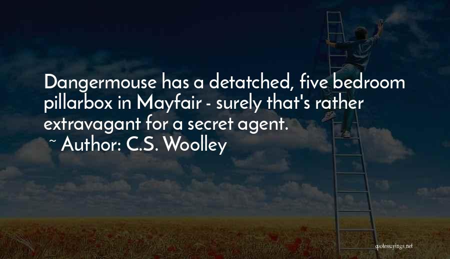 Secret Agent Quotes By C.S. Woolley