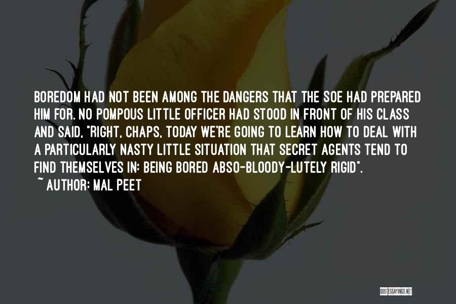 Secret Agents Quotes By Mal Peet