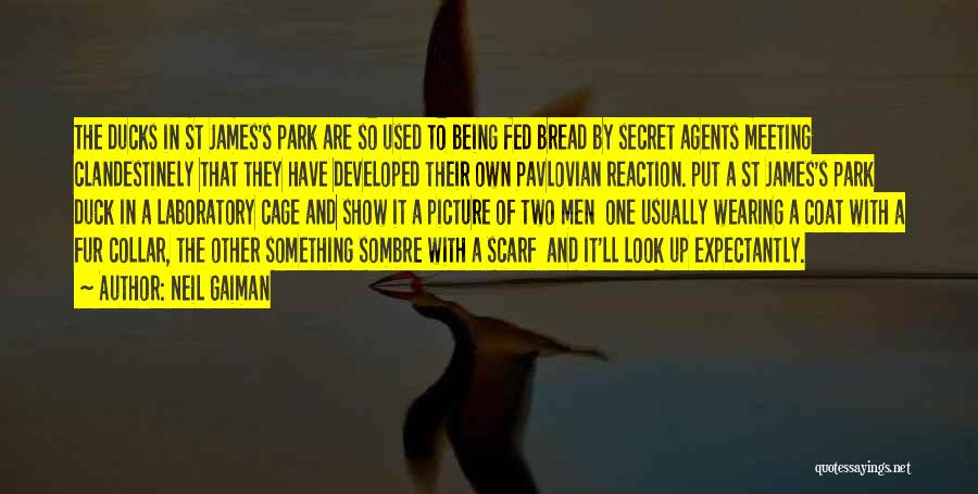 Secret Agents Quotes By Neil Gaiman