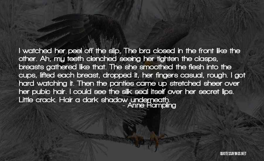 Secret By Seal Quotes By Anne Rampling Secret By Seal Quotes By Anne Rampling