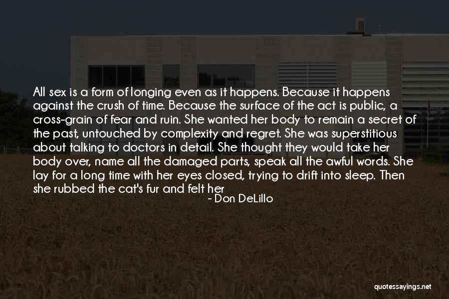 Secret Crush On Someone Quotes By Don DeLillo Secret Crush On Someone Quotes By Don DeLillo