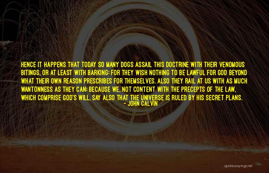 Secret Doctrine Quotes By John Calvin