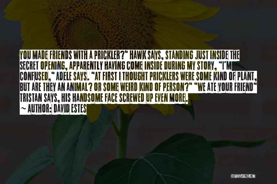 Secret Friend Quotes By David Estes