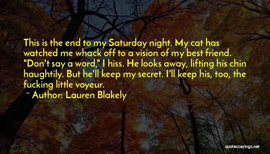 Secret Friend Quotes By Lauren Blakely
