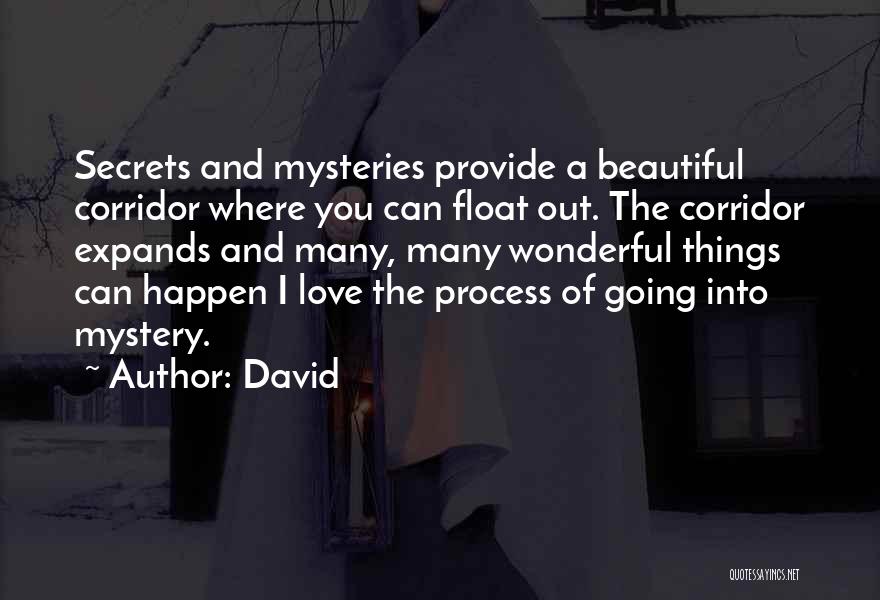 Secret Love Quotes By David