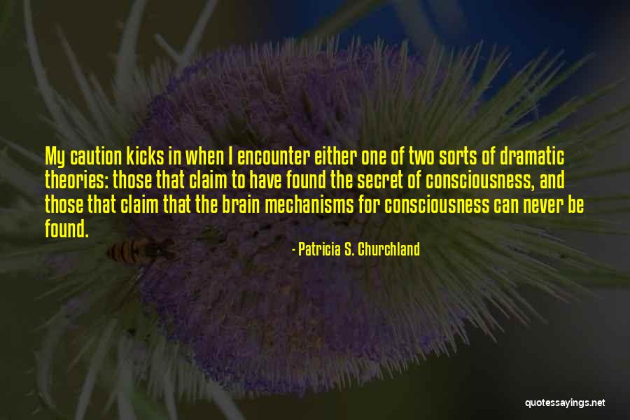 Secret Of Consciousness Quotes By Patricia S. Churchland Secret Of Consciousness Quotes By Patricia S. Churchland