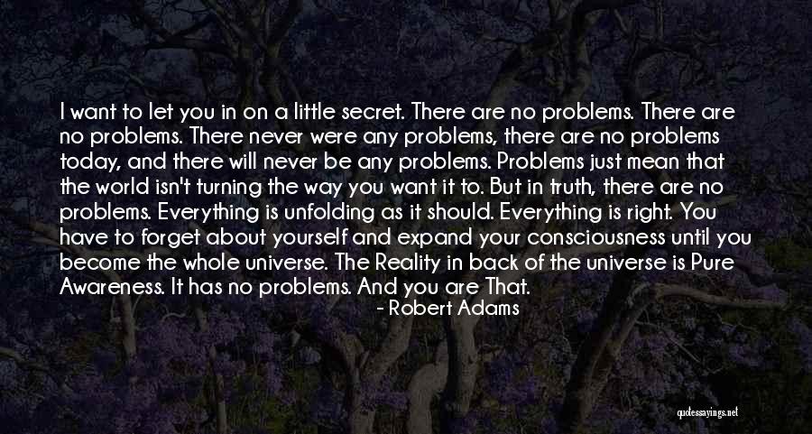 Secret Of Consciousness Quotes By Robert Adams Secret Of Consciousness Quotes By Robert Adams
