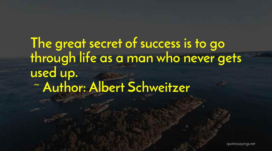 Secret Of Success Quotes By Albert Schweitzer