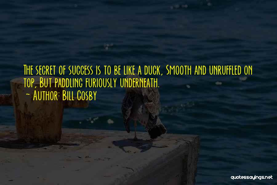 Secret Of Success Quotes By Bill Cosby