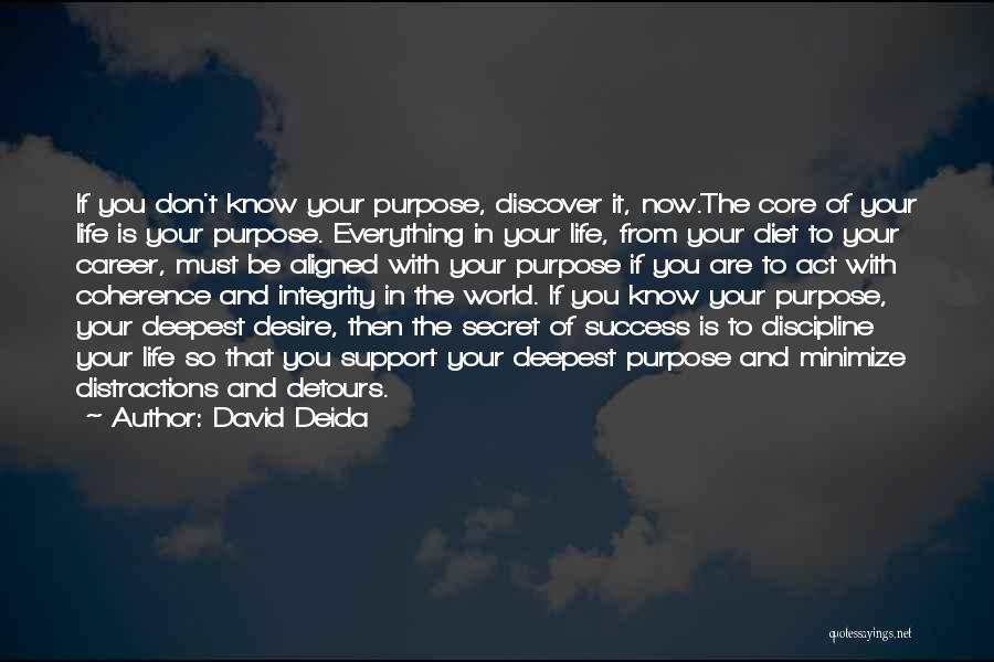 Secret Of Success Quotes By David Deida
