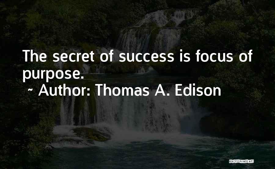 Secret Of Success Quotes By Thomas A. Edison