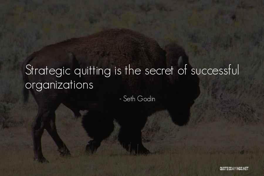 Secret Organizations Quotes By Seth Godin