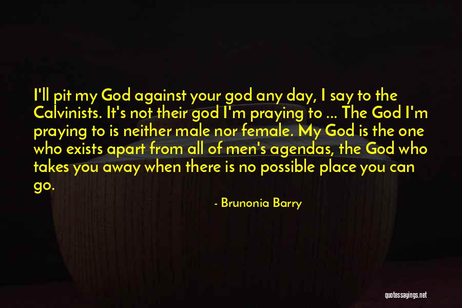 Secret Origins Quotes By Brunonia Barry Secret Origins Quotes By Brunonia Barry