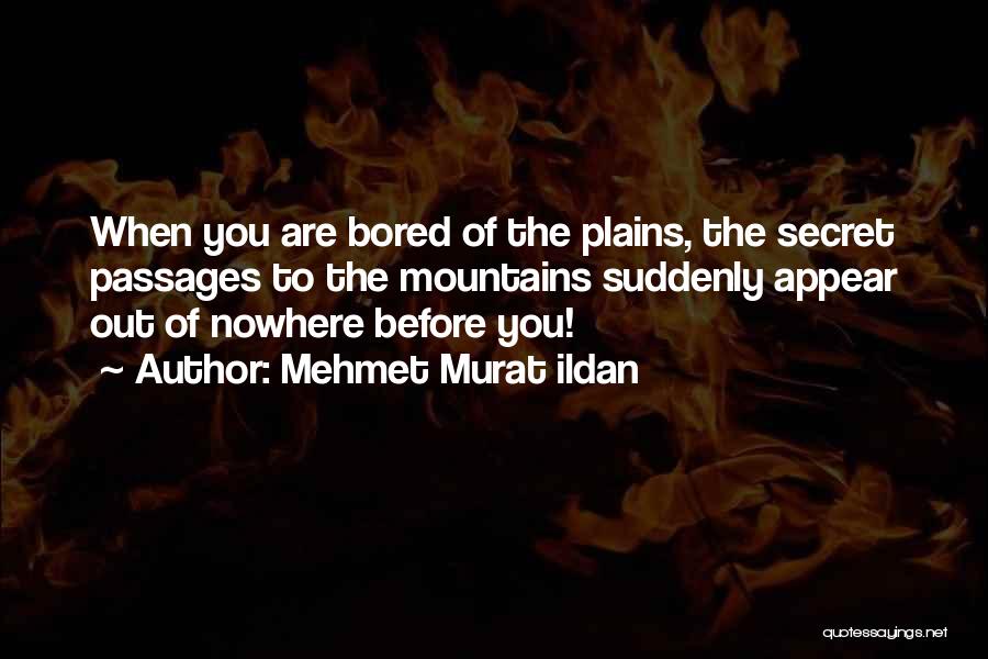 Secret Passage Quotes By Mehmet Murat Ildan