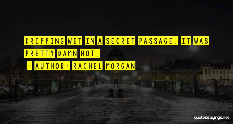 Secret Passage Quotes By Rachel Morgan