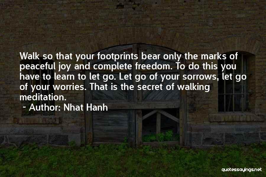 Secret Sorrows Quotes By Nhat Hanh