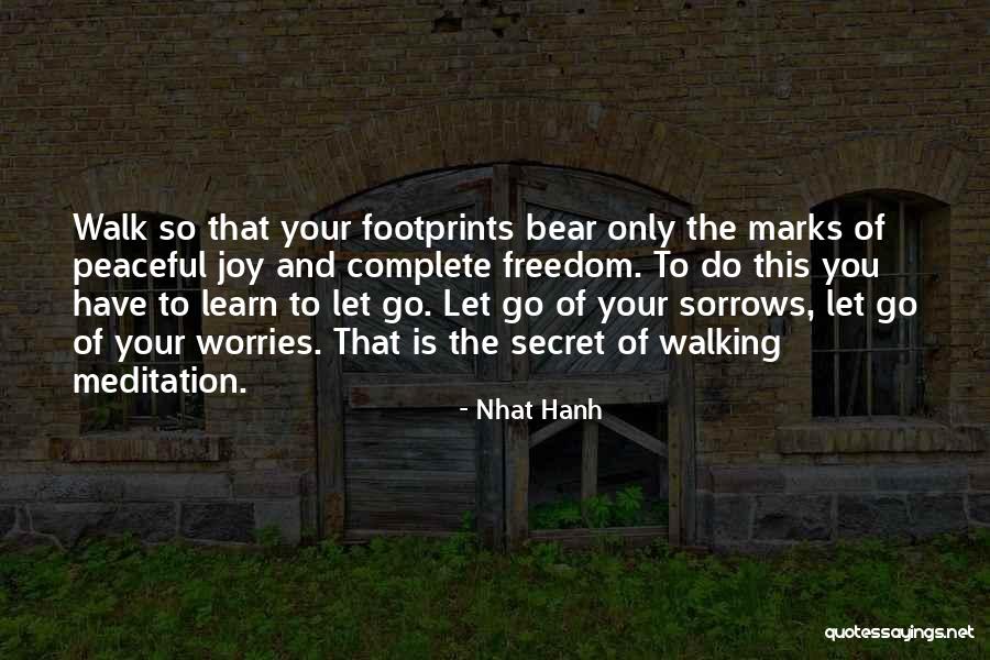 Secret Sorrows Quotes By Nhat Hanh