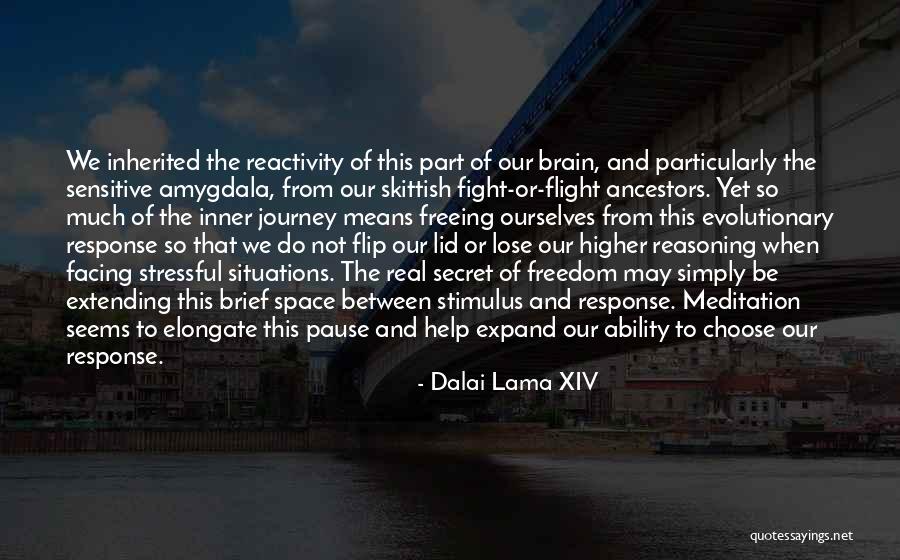 Secret That Will Help Quotes By Dalai Lama XIV Secret That Will Help Quotes By Dalai Lama XIV