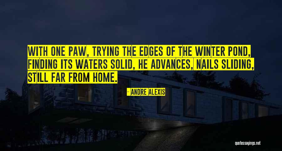 Secret Theatre Quotes By Andre Alexis Secret Theatre Quotes By Andre Alexis