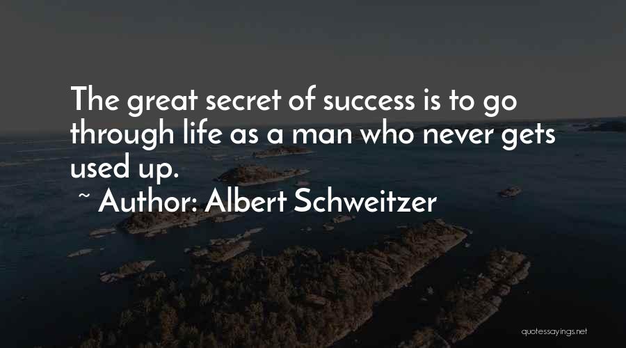 Secret To Success Quotes By Albert Schweitzer