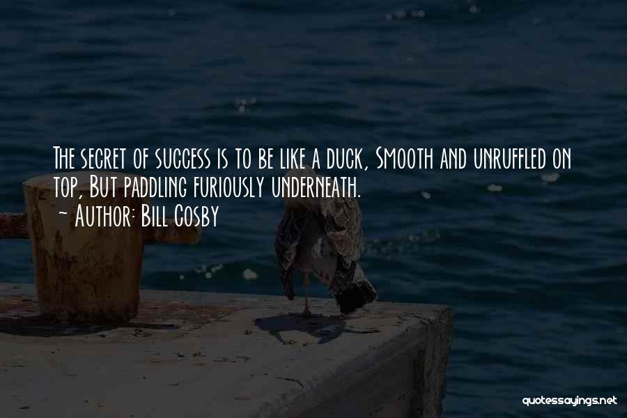 Secret To Success Quotes By Bill Cosby