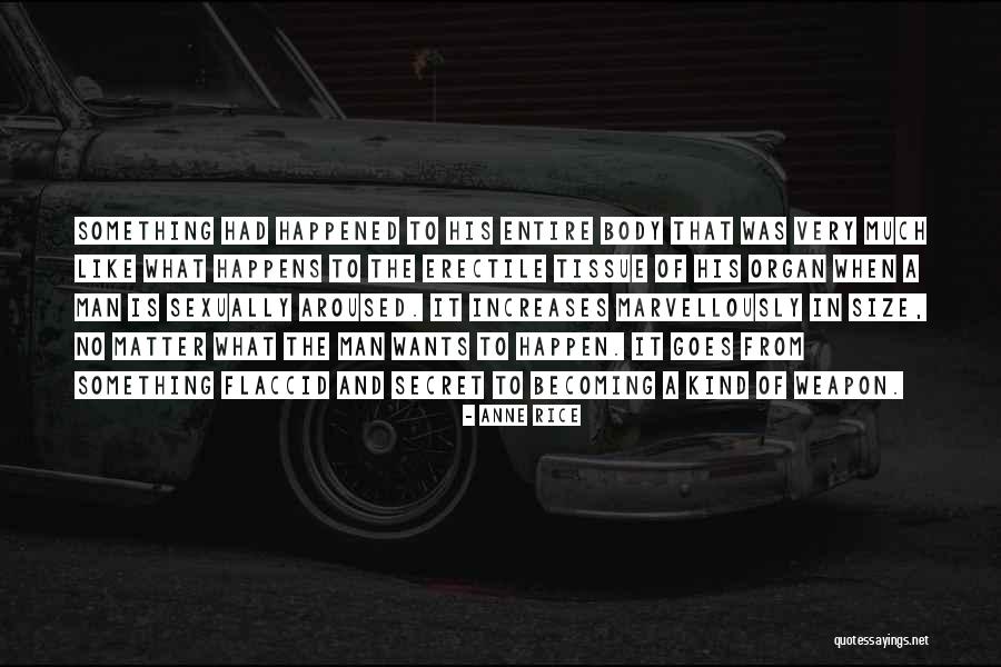 Secret Weapon Quotes By Anne Rice Secret Weapon Quotes By Anne Rice