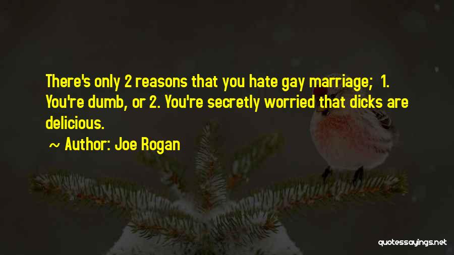 Secretly Gay Quotes By Joe Rogan