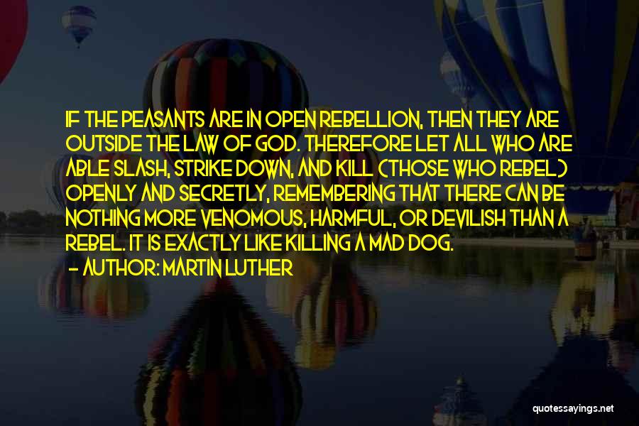 Secretly Quotes By Martin Luther