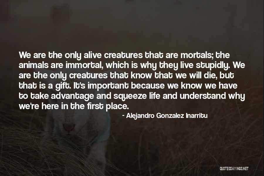 Secretory Quotes By Alejandro Gonzalez Inarritu Secretory Quotes By Alejandro Gonzalez Inarritu