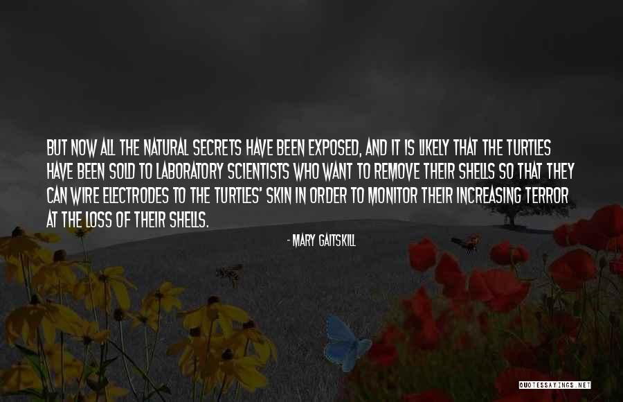 Secrets Exposed Quotes By Mary Gaitskill Secrets Exposed Quotes By Mary Gaitskill