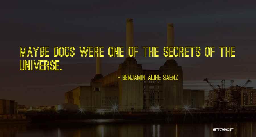 Secrets Of The Universe Quotes By Benjamin Alire Saenz Secrets Of The Universe Quotes By Benjamin Alire Saenz