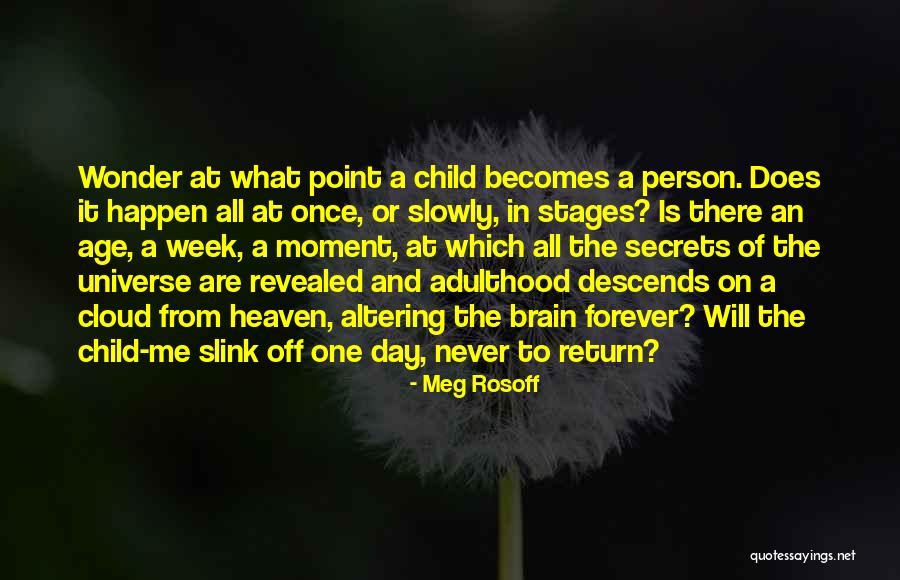 Secrets Of The Universe Quotes By Meg Rosoff Secrets Of The Universe Quotes By Meg Rosoff