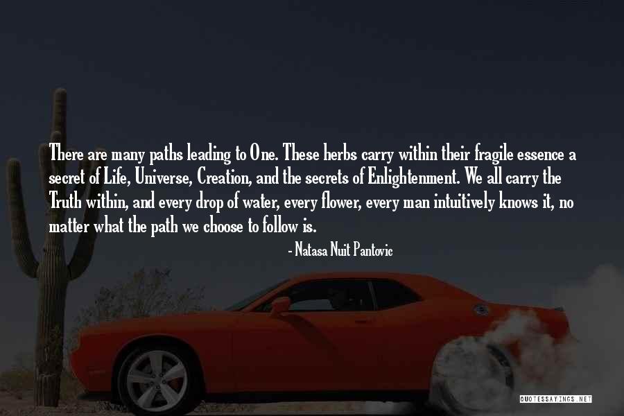 Secrets Of The Universe Quotes By Natasa Nuit Pantovic Secrets Of The Universe Quotes By Natasa Nuit Pantovic