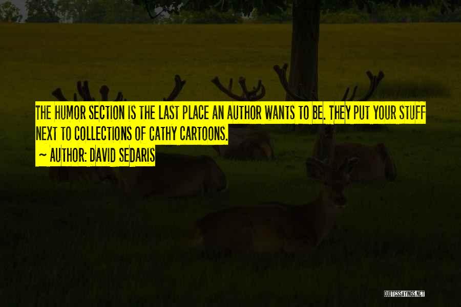 Section Quotes By David Sedaris