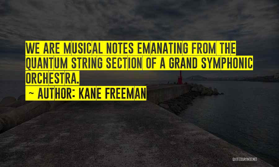 Section Quotes By Kane Freeman