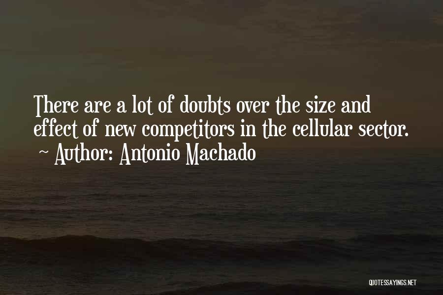 Sector 4 Quotes By Antonio Machado