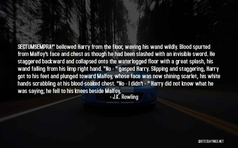 Sectumsempra Harry Quotes By J.K. Rowling Sectumsempra Harry Quotes By J.K. Rowling