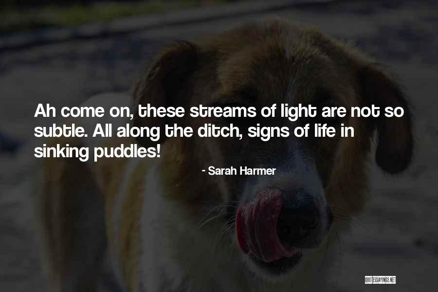 Secuelas Translate Quotes By Sarah Harmer Secuelas Translate Quotes By Sarah Harmer